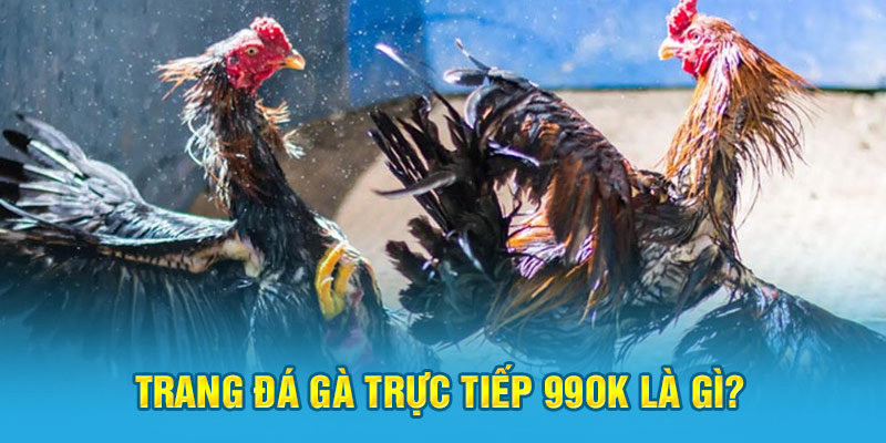 Trang đá gà trực tiếp 99ok là gì?