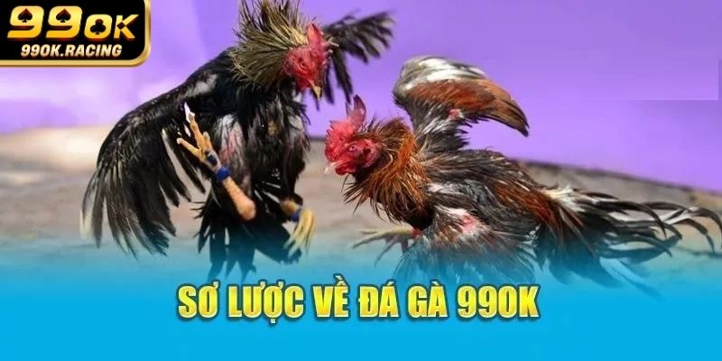 Sảnh đá gà được giám sát chặt chẽ để đảm bảo minh bạch